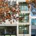 UBC-MacLeod-Building-3