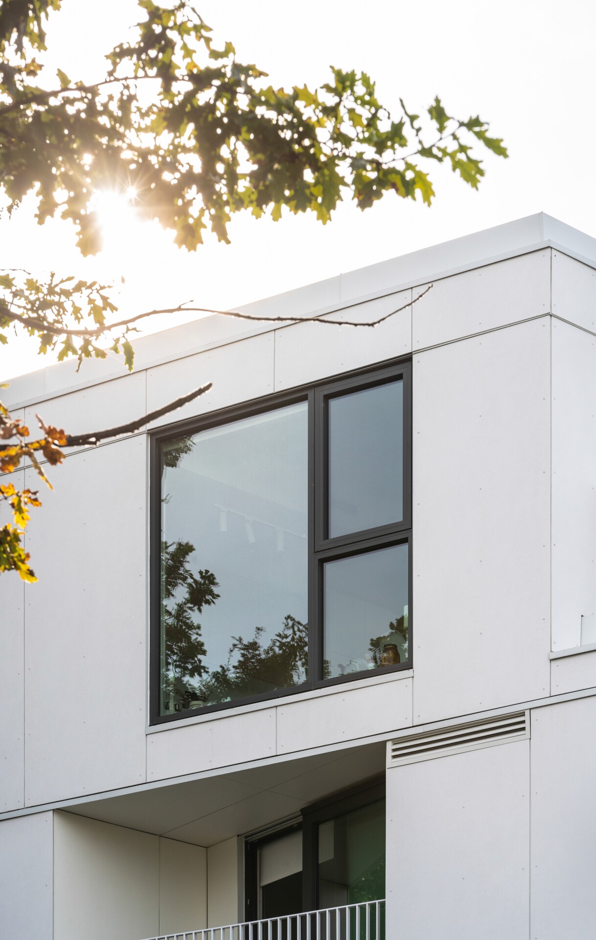 Cascadia Windows - Stevens - 006