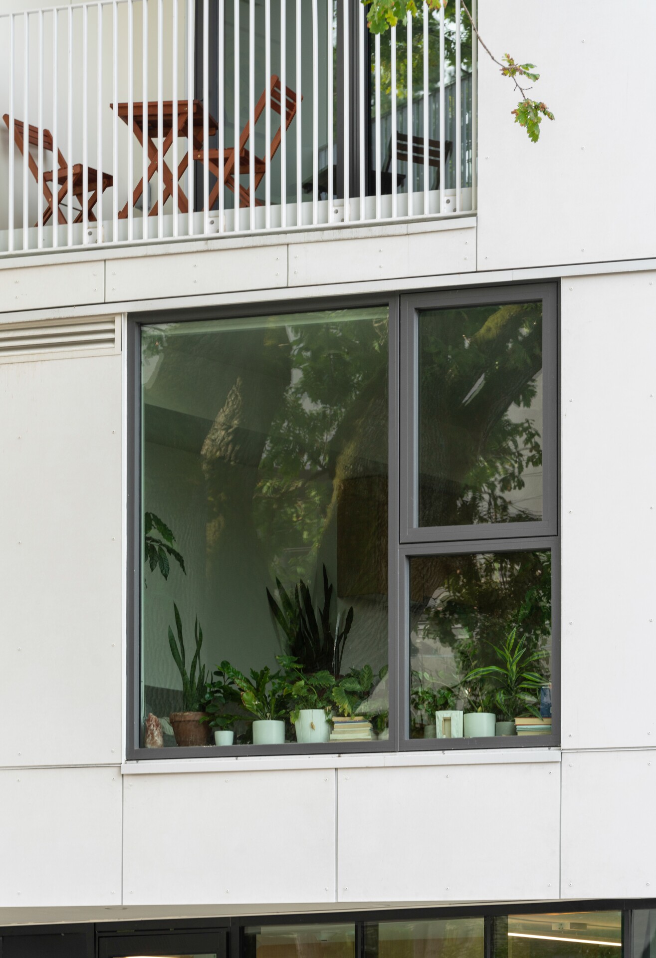 Cascadia Windows - Stevens - 009