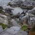 Pontoon-Cove-Eco-House-Universal-Series-15